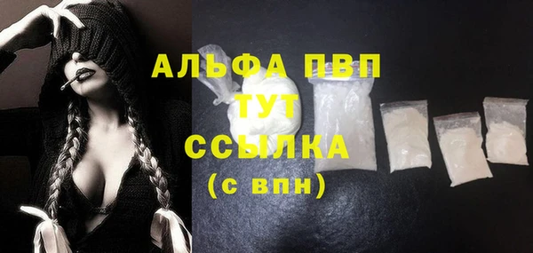 твердый Арсеньев