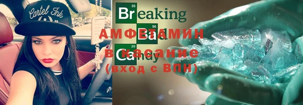 стаф Аркадак