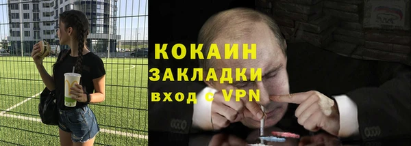 стаф Аркадак