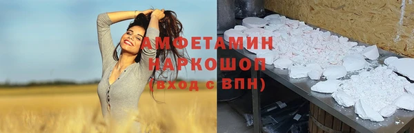 стаф Аркадак