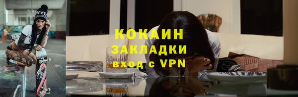 твердый Арсеньев