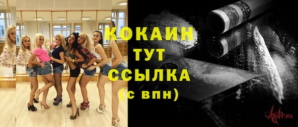 стаф Аркадак
