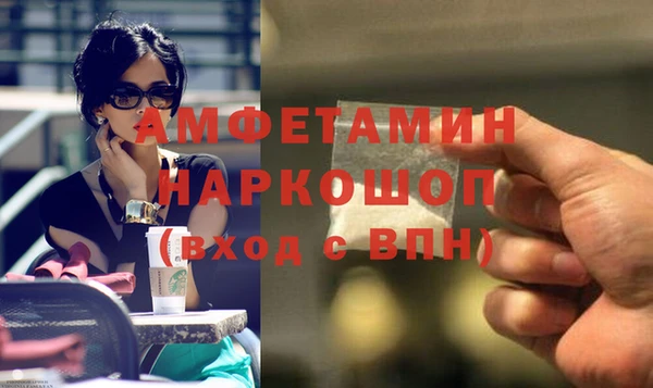 стаф Аркадак